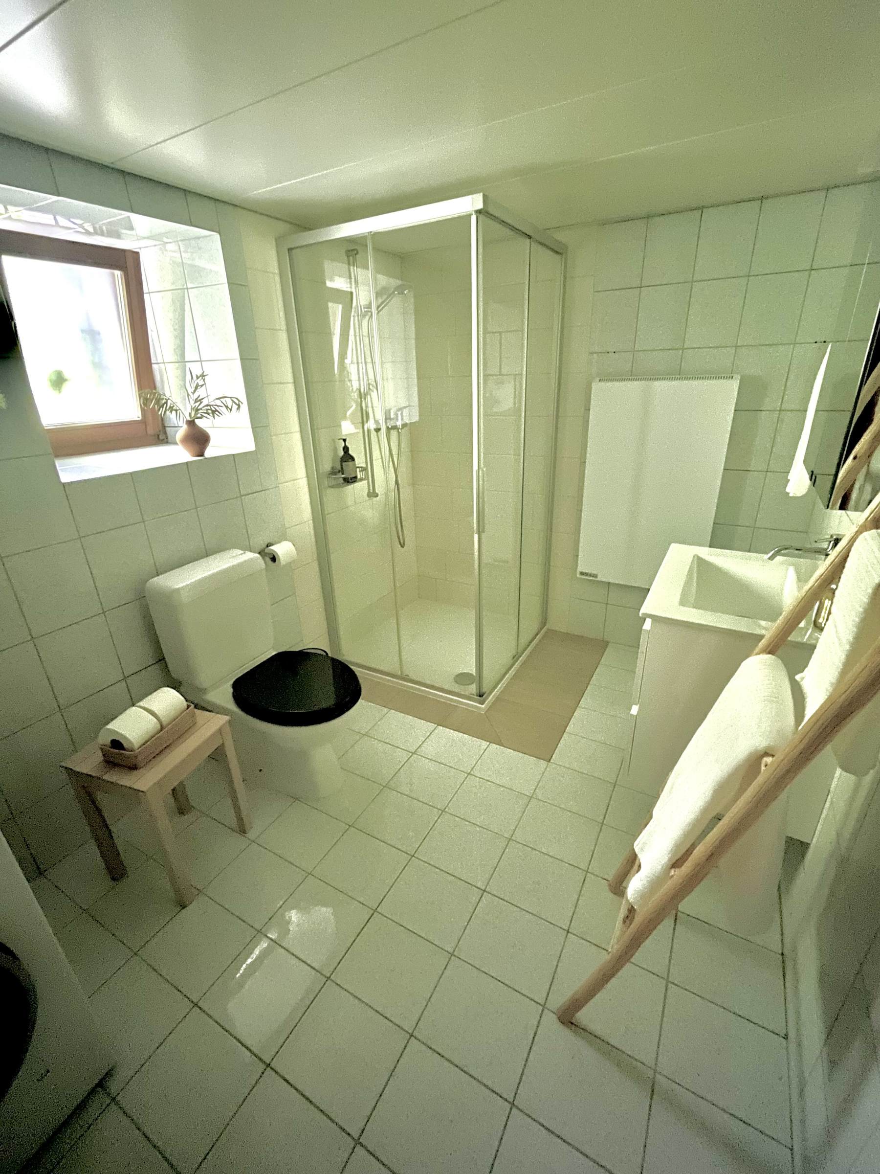 Badezimmer mit Dusche und WC