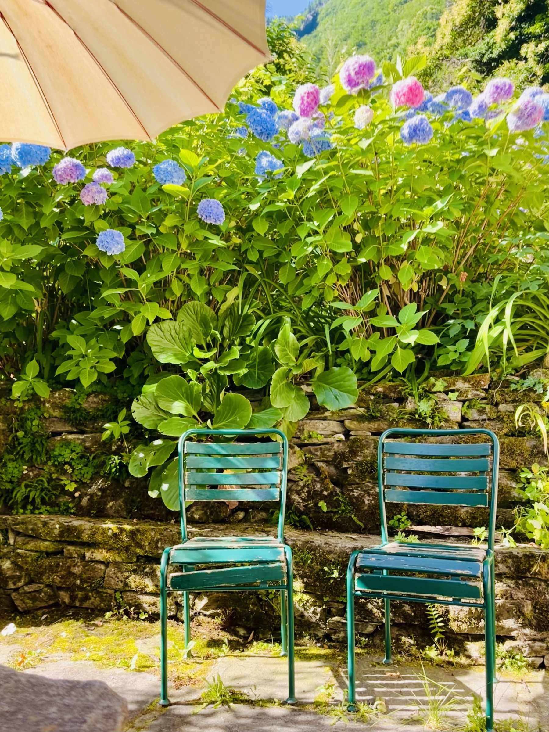 Terrasse mit Hortensien
